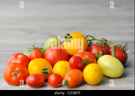 Verschiedene Tomatensorten Stockfoto