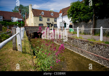 Das Dorf East Meon im Meon Valley Hampshire, dargestellt an der Oberseite der meon River ist der Ye Old George Pub Stockfoto