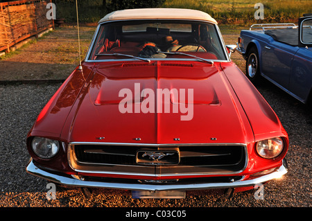 Oldtimer, Blick nach vorne auf einem Ford Mustang Cabrio, Baujahr 1967, 147 kW, 200 PS Stockfoto