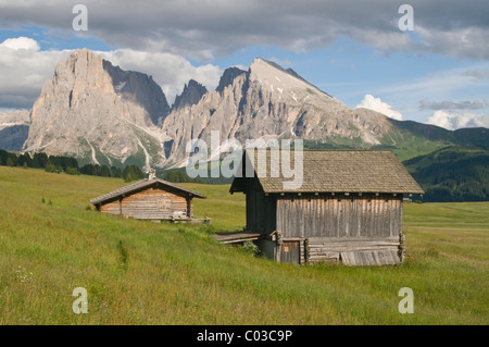 Almen vor Mt. Plattkofels und Mt. Langkofel, Seiser Alm, Dolomiten, Südtirol, Italien, Europa Stockfoto