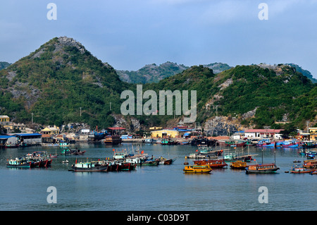Hafen von Cat Ba, Halong Bucht, Vietnam, Südostasien Stockfoto