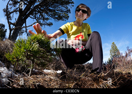 Ein Wanderer Frau gerade eine junge Föhre (Pinus Sylvestris). Frankreich. Randonneuse aufmerksam un Jeune Pin Sylvestre (Frankreich). Stockfoto