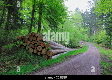 Baumstämme auf einem Waldweg in Welzheim, Baden-Württemberg, Deutschland, Europa Stockfoto