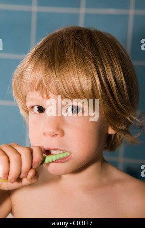 Vier-jährige blonde Junge, der seine Zähne putzen Stockfoto