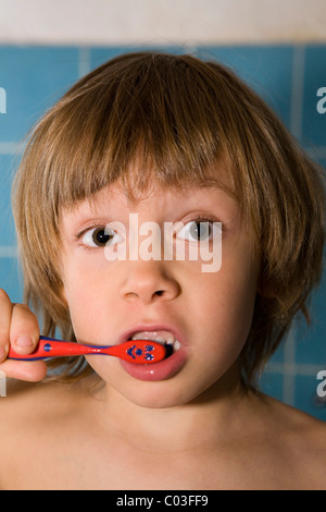 Vier-jährige blonde Junge, der seine Zähne putzen Stockfoto