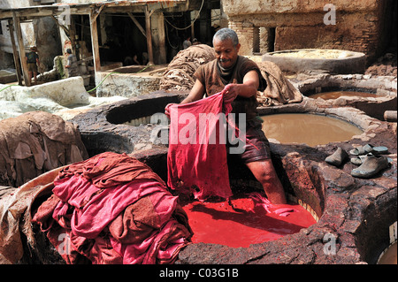 Arbeiter stehen in einem Bottich von roter Farbe zum Färben von Leder in einer Gerberei, Gerber und Färber Viertel, Fez, Marokko, Afrika, Afrika Stockfoto