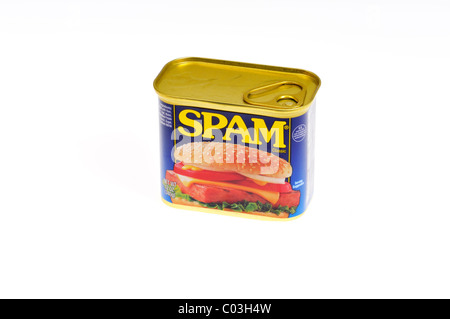 Ungeöffnete Dose Hormel Foods Spam auf weißem Hintergrund Stockfoto