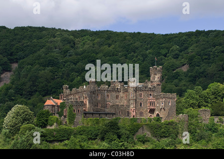 Burg Reichenstein Castle, auch bekannt als Falkenstein, UNESCO World Heritage Kulturlandschaft Oberes Mittelrheintal Stockfoto