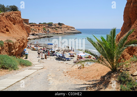 Klippen, Palmen und die Bucht von Sa Caleta Strand, Ibiza, Pityusen, Balearen, Spanien, Europa Stockfoto