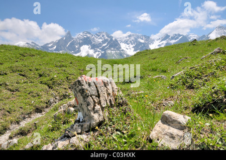 Zentraler Hauptkamm der Allgäuer Alpen, gesehen von den Gugger See, Oberstdorf, Allgäu, Bayern, Deutschland, Europa Stockfoto