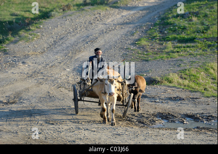 Bauer mit einem Ochsenkarren, Uplistsikhe, Shida Kartli Region, Georgia, West-Asien Stockfoto