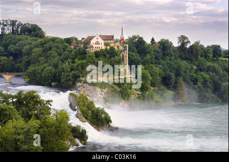 Blick auf den Rheinfall Wasserfällen mit Schloss Laufen Burg, Kanton Schaffhausen, Schweiz, Europa Stockfoto