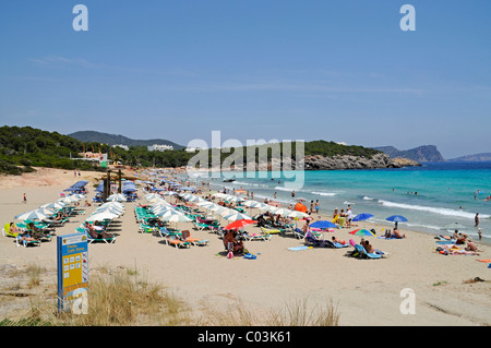 Cala Nova Bucht, Strand, Santa Eulalia des Riu, Santa Eulalia Del Rio, Ibiza Insel, Pityusen, Balearen, Spanien, Europa Stockfoto