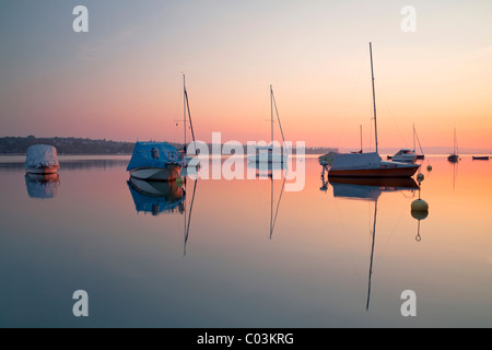 Am frühen Morgen Stimmung mit Segelboote im Hafen von Steckborn am Bodensee, Kanton Thurgau, Schweiz, Europa Stockfoto