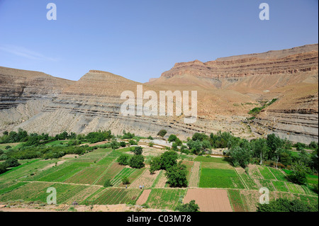 Dades Fluss Oase, Dades Tal mit Bergen, geologische Böschung Landschaft, hoher Atlas, Südmarokko, Marokko, Afrika Stockfoto