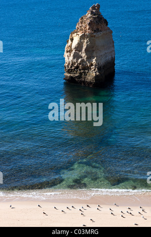 Portugal, Algarve, Carvoaeiro Bereich, der Praia Da Marinha Stockfoto