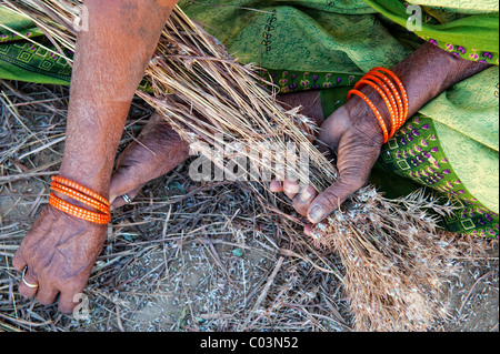 Alte indische Womans Hände arbeiten mit Grass machen beeindruckende Bürsten. Andhra Pradesh, Indien Stockfoto