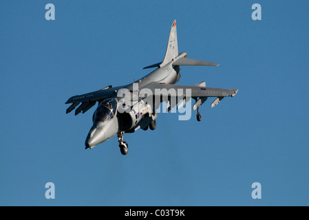 Hawker Harrier Jump Jet kippen nach vorne während des Schwebeflugs raf Leuchars Air show Schottland im September 2010 Stockfoto