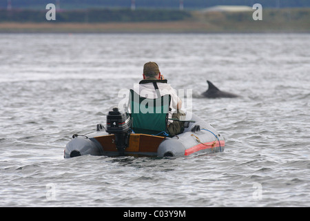 Mann in ein Schlauchboot fotografieren Tümmler (Tursiops Truncatus), Moray Firth, Scotland, UK Stockfoto