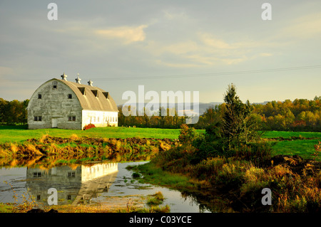 Eine alte Scheune in Montgomery County, Bundesstaat New York. Stockfoto