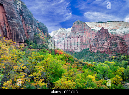 Blick auf Tal im Zion National Park mit Herbstfarben. Utah Stockfoto
