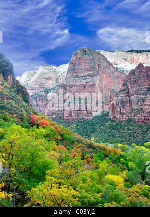 Blick auf Tal im Zion National Park mit Herbstfarben. Utah Stockfoto