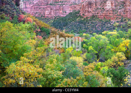 Blick auf Tal im Zion National Park mit Herbstfarben. Utah Stockfoto