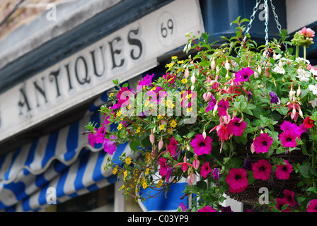 Eine Blumenampel außerhalb ein Antiquitätenladen in Eton, Windsor, Berkshire, England, UK Stockfoto