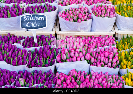 Tulpen zum Verkauf an der Bloemenmakrt Blumenmarkt in Amsterdam Stockfoto