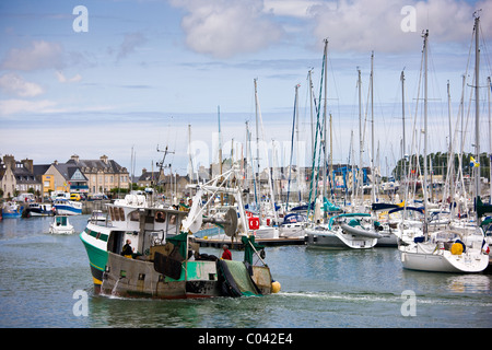 Boot Fischkutter in Kanal Hafen von St. Vaast La Hougue in Normandie, Frankreich Stockfoto