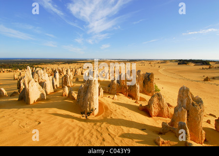 Die Pinnacles desert, Nambung National Park, Western Australia Stockfoto