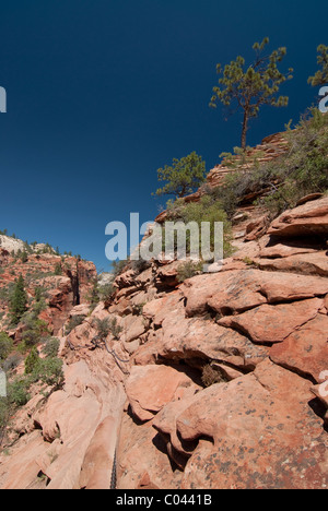 Bunten Felsformationen entlang des Engels Landing im Zion Nationalpark, Utah Stockfoto