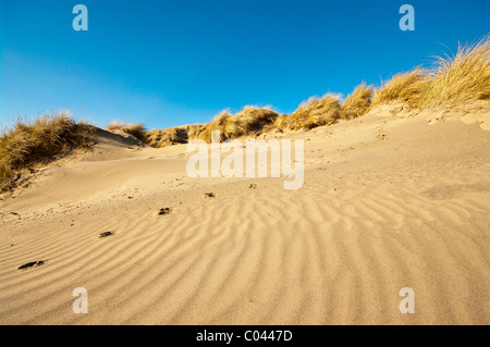Sanddünen Camber Sands East Sussex England Stockfoto