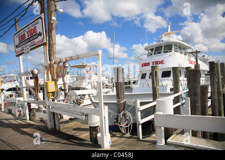 Montauk-Hafen und Marina, Montauk, Long Island, New York, USA Stockfoto