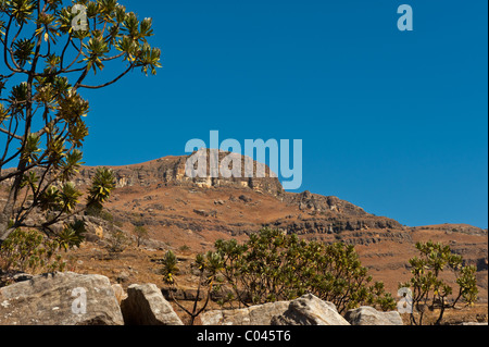 Sani Pass aus Südafrika, Lesotho Stockfoto