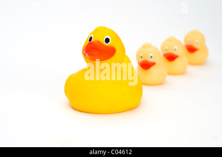 Vier gelbe Gummienten auf weißem Hintergrund Stockfoto