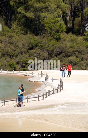 Dampfende Mudpools im Wai-O-Tapu Thermal Wonderland, gelegen zwischen Taupo und Rotorua, Neuseeland Stockfoto