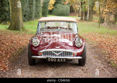 Daimler Oldtimer mit Blendung durch die Sonne während ein Herbstmorgen auf eine private Zufahrt Stockfoto