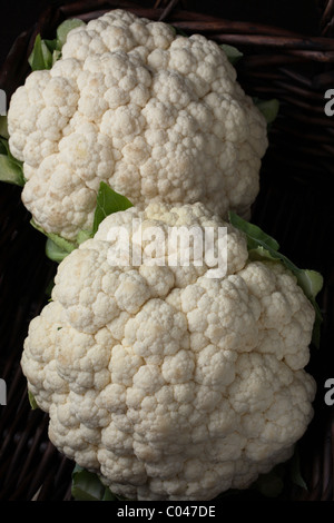 zwei Köpfe Blumenkohl Stockfoto