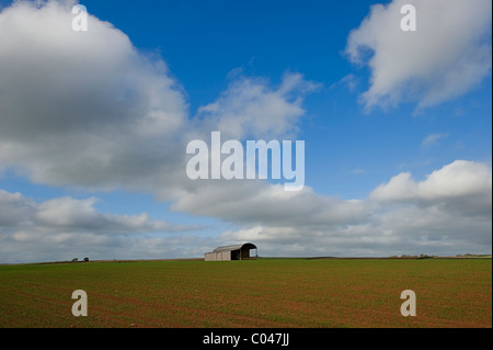 Scheune in einem Feld in Devon, England Stockfoto