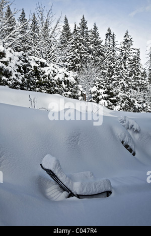 Patiostuhl unter einer schweren Decke von Schnee Stockfoto