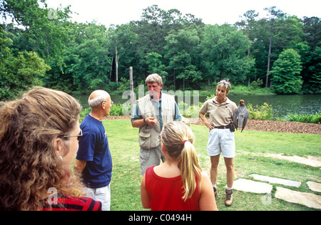 Birds Of Prey show, Callaway Gardens, Georgia, USA Stockfoto