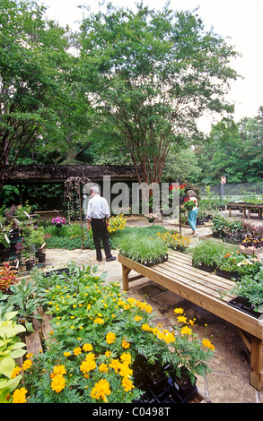 Usa Georgien Callaway Gardens Zaun Mit Azaleen Stockfoto Bild