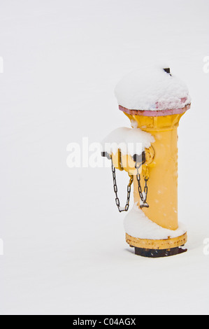 Hydranten mit Schnee bedeckt Stockfoto