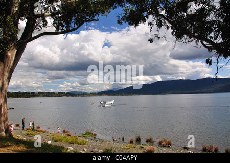 Vorland am Lake Te Anau, Te Anau, Region Southland, Südinsel, Neuseeland Stockfoto