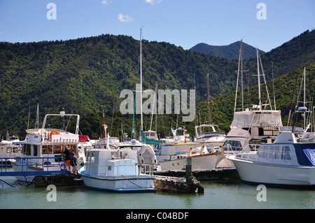 Havelock Marina, Havelock, Marlborough Region, Südinsel, Neuseeland Stockfoto