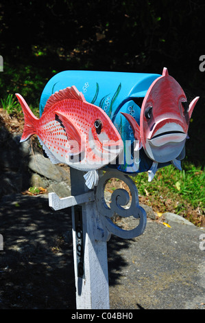 Dekorative Brief box in Okiwa Bay, Queen Charlotte Sound, Marlborough Sounds, Marlborough Region, Südinsel, Neuseeland Stockfoto