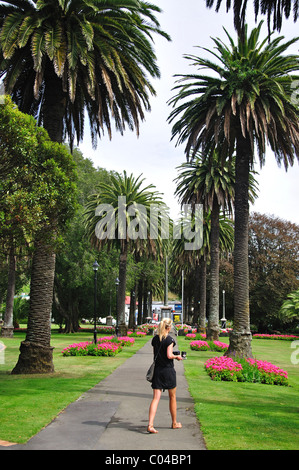 ANZAC Park, Nelson, Nelson Region, Südinsel, Neuseeland Stockfoto