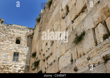 Bestandteil der Klagemauer in der Altstadt von Jerusalem, Israel, wo orthodoxe Juden kommen um zu beten. Stockfoto