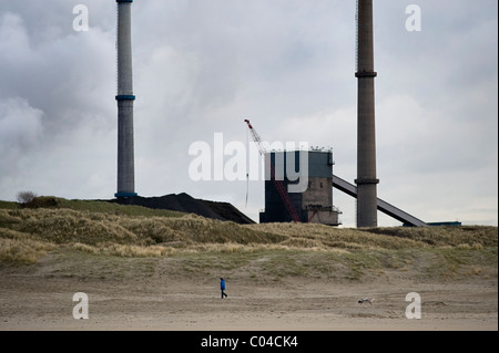 Spaziergang mit dem Hund mit Hoogovens Stahlwerk in Ijmuiden im Hintergrund, Holland Stockfoto